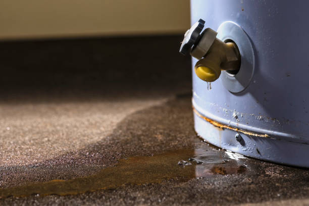 Best 24-hour water damage restoration  in Hanapepe, HI