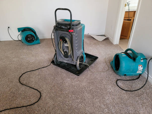 Best Water damage repair service  in Hanapepe, HI