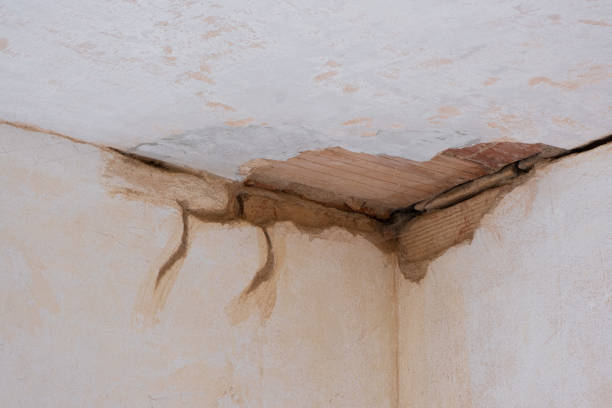 Best Sewage cleanup and water damage restoration  in Hanapepe, HI