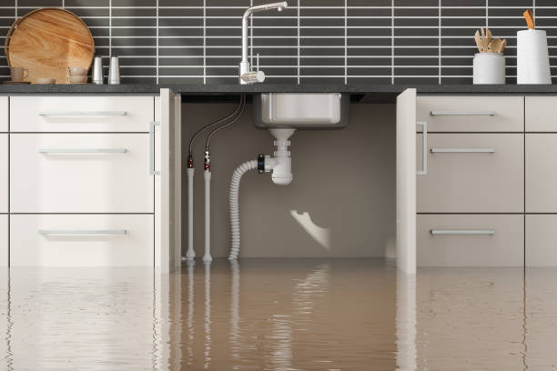 Best Local water damage restoration  in Hanapepe, HI