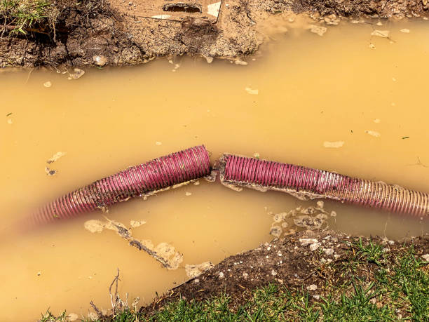 Best Carpet water damage restoration  in Hanapepe, HI
